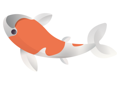 Koi Name gesucht, Jahrgang 2024