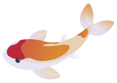 Koi Sora, Jahrgang 2024