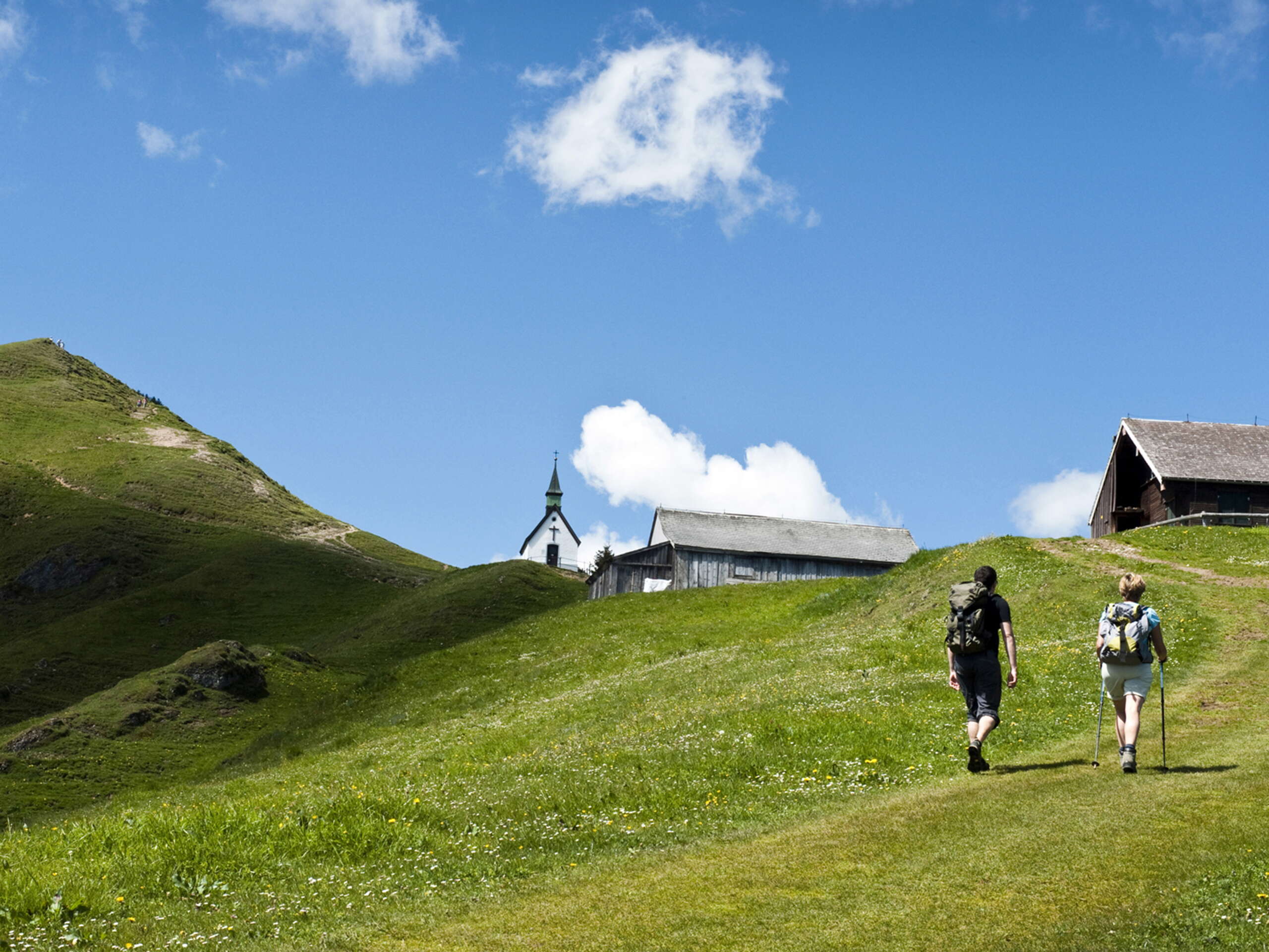 Das weitläufige Wandergebiet rund um den Kronberg ist ideal, wenn du gerne auf kindgerechten und gut markierten Wegen unterwegs bist.