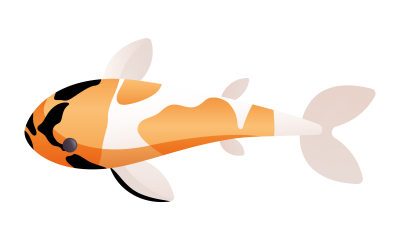 Koi Name gesucht, Jahrgang 2024