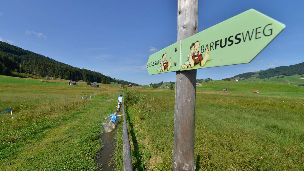 «de ringeweg mit de baare Füess»