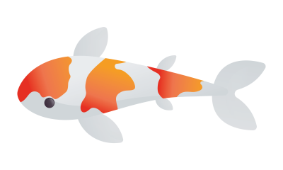 Koi Name gesucht, Jahrgang 2025