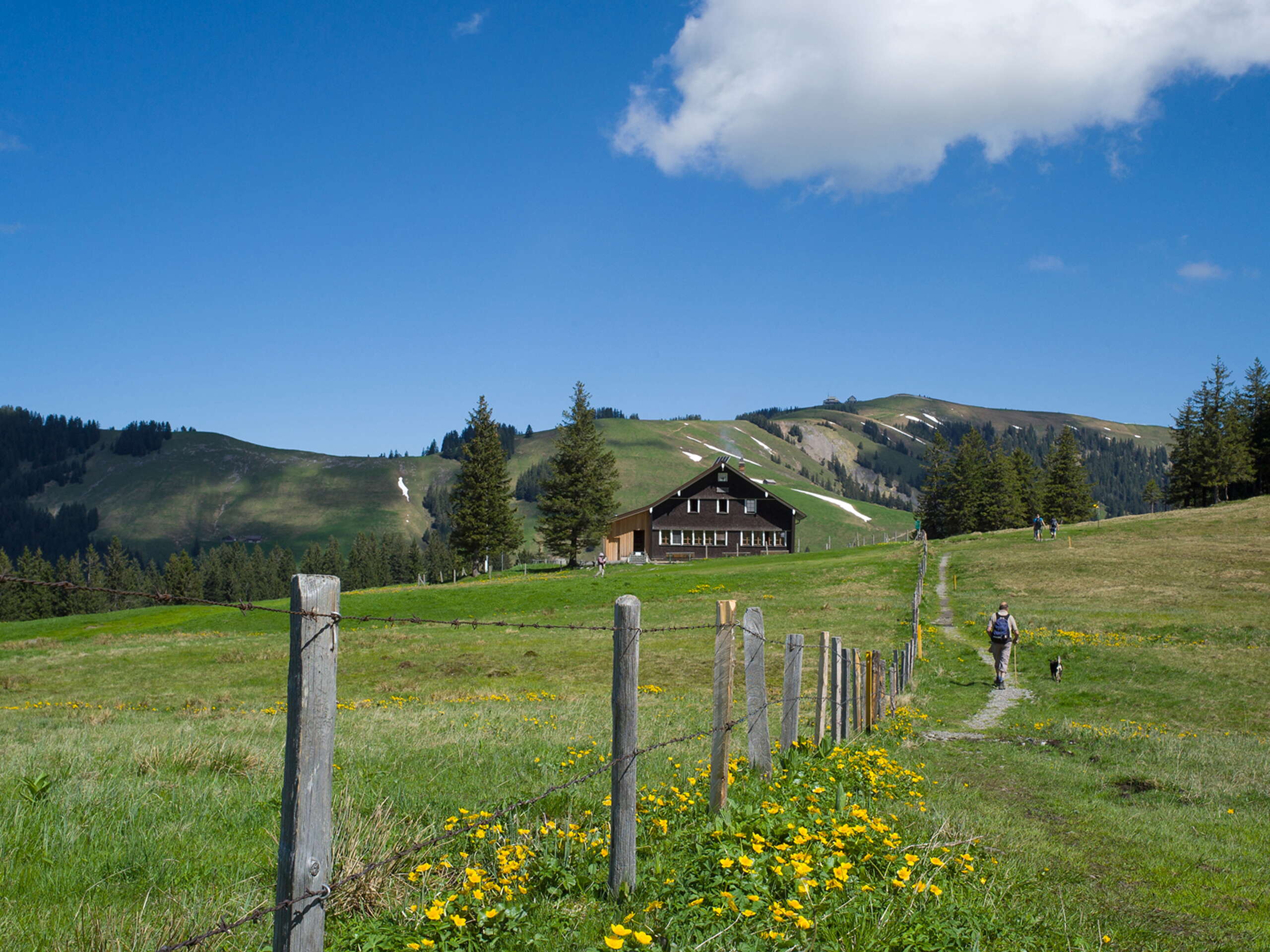 Das weitläufige Wandergebiet rund um den Kronberg ist ideal, wenn du gerne auf kindgerechten und gut markierten Wegen unterwegs bist.