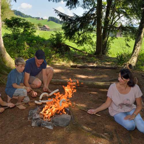 Ideal für Schulklassen