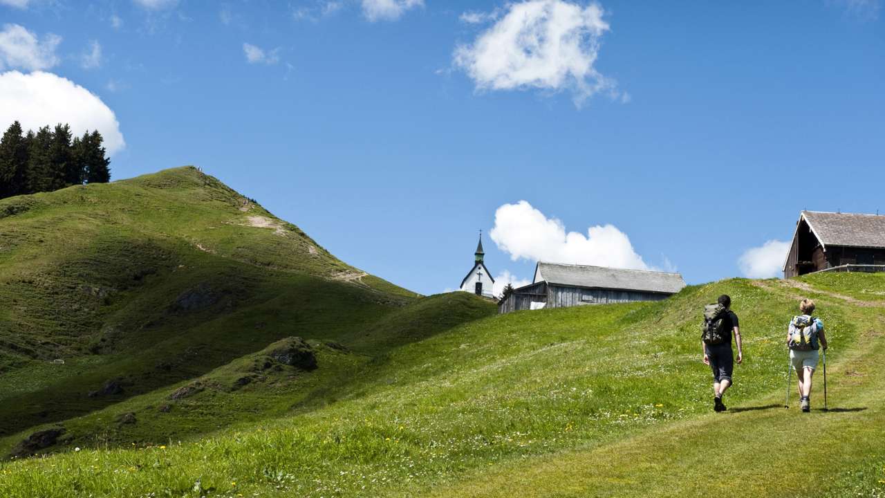 «nebes fö allpott»