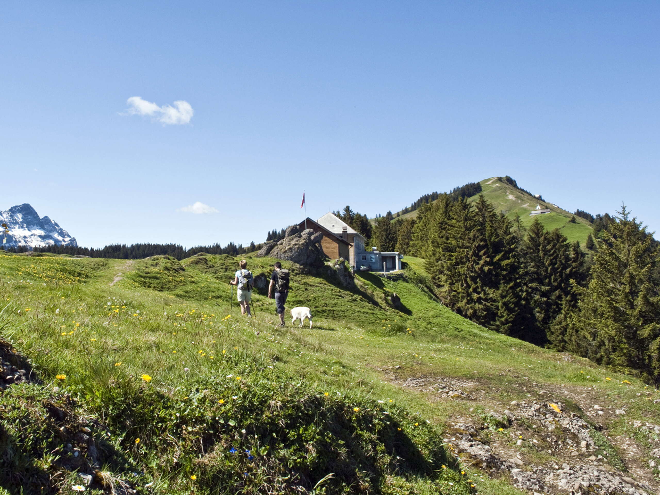 Das weitläufige Wandergebiet rund um den Kronberg ist ideal, wenn du gerne auf kindgerechten und gut markierten Wegen unterwegs bist.