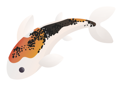 Koi Aiko, Jahrgang 2023