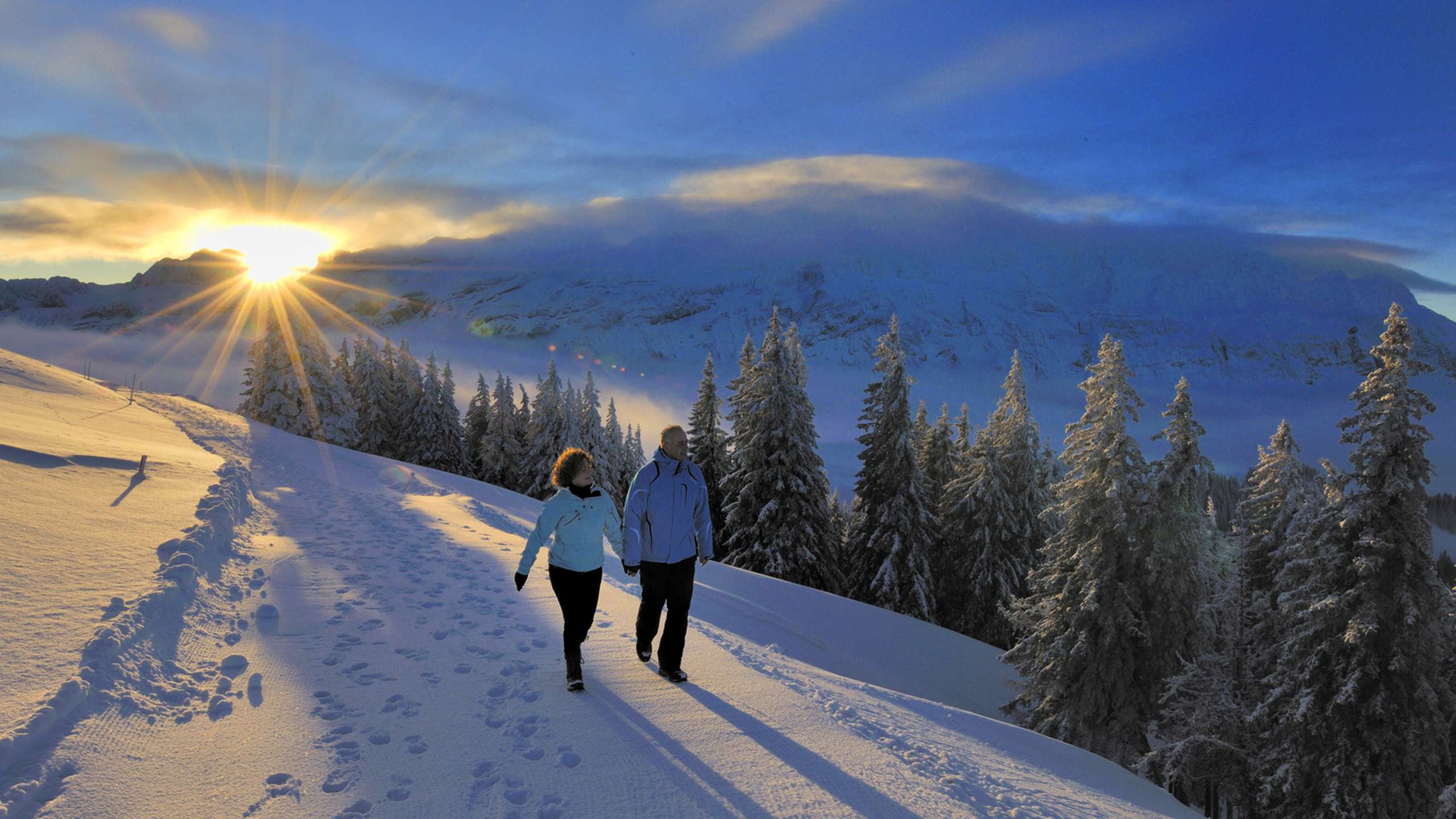 Gerade im Winter bietet dir der Kronberg - über dem Nebelmeer - auch abwechslungsreiche Wanderungen an.